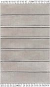 Gerakies Global Medium Gray Area Rug