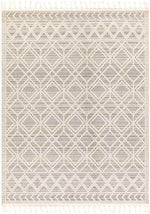Beykoy Global Light Gray Area Rug