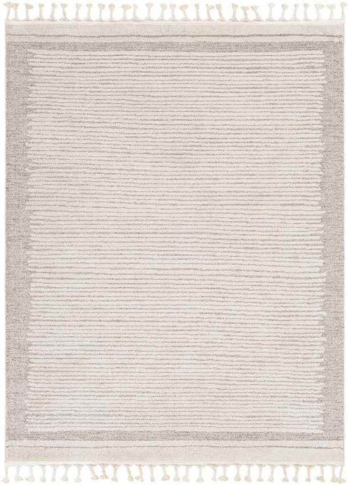 Orounta Modern Taupe Area Rug