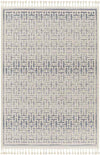 Asomatos Modern Navy Area Rug