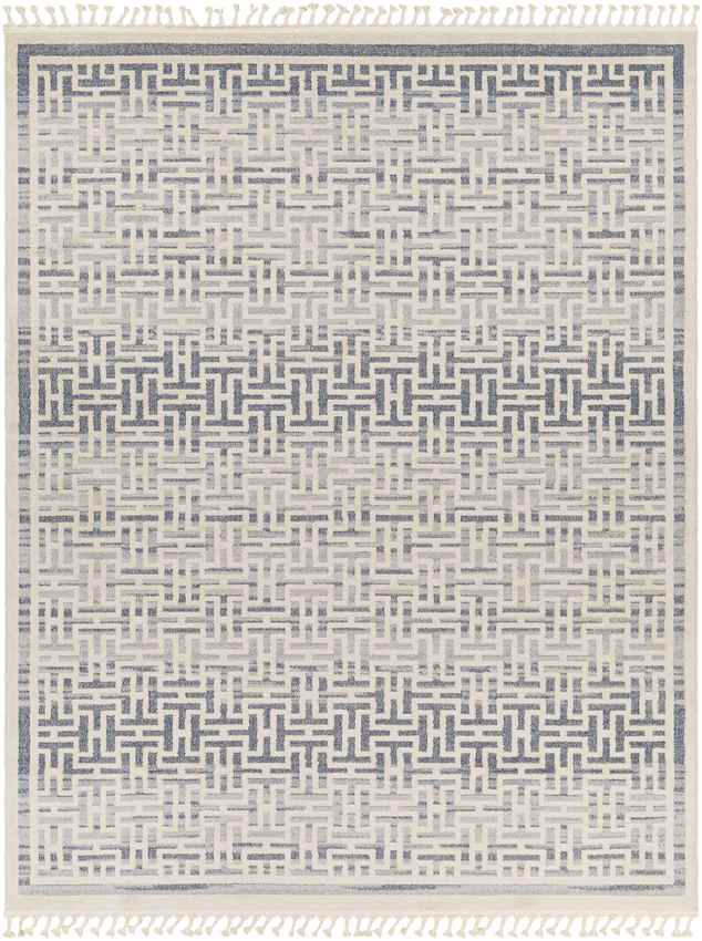 Asomatos Modern Navy Area Rug