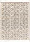 Asomatos Modern Gray Area Rug
