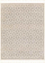 Asomatos Modern Gray Area Rug