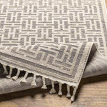 Asomatos Modern Gray Area Rug