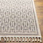 Asomatos Modern Gray Area Rug