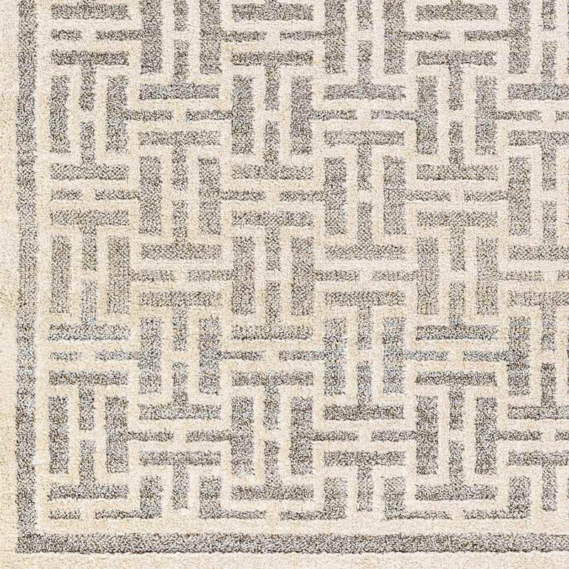 Asomatos Modern Gray Area Rug