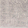 Thermia Traditional Gray Area Rug