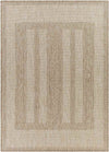 Iowa Falls Global Beige Area Rug