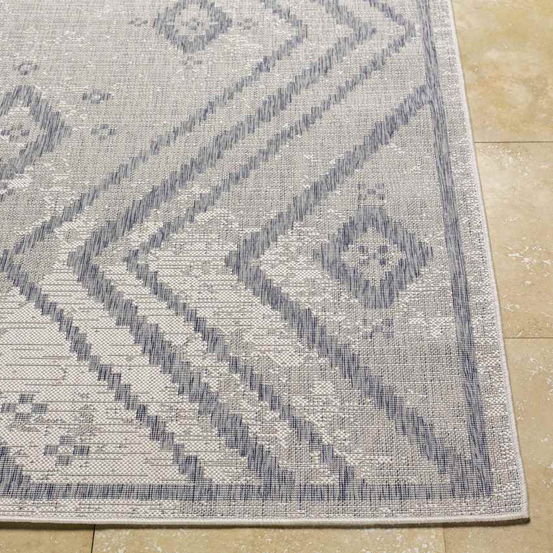 Janesville Global Navy Area Rug