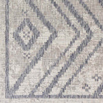 Janesville Global Navy Area Rug
