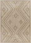 Janesville Global Beige Area Rug