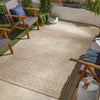 Joice Global Beige Area Rug