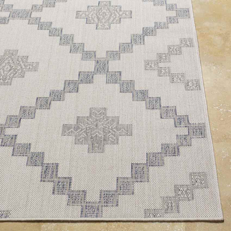 Kanawha Rustic Navy Area Rug