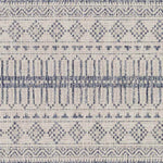 Keota Global Navy Area Rug