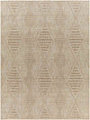 Kinross Global Brown Area Rug
