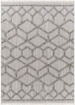 Le Mars Modern Gray Area Rug