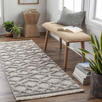 Le Mars Modern Gray Area Rug