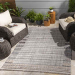 Le Claire Global Charcoal Area Rug