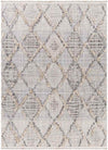 Linn Grove Global Ivory Area Rug