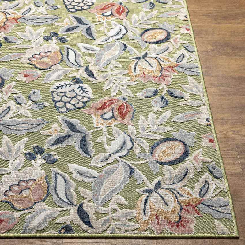 Damar Cottage Olive Area Rug