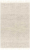 Gratz Global Light Taupe Area Rug