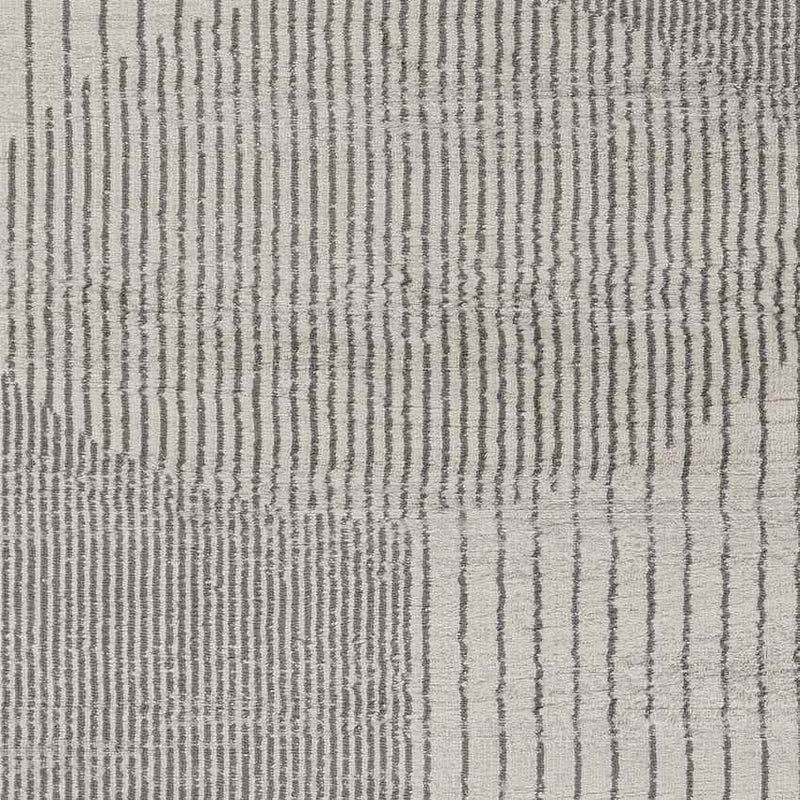 Lakin Modern Medium Gray Area Rug