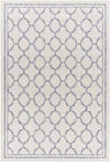 Agenda Traditional Ivory Area Rug