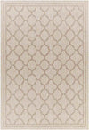 Agenda Traditional Beige Area Rug