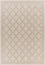 Agenda Traditional Beige Area Rug