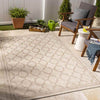 Agenda Traditional Beige Area Rug
