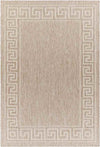 Albert Traditional Beige Area Rug