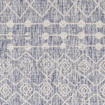 Almena Global Denim Area Rug