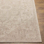 Alvord Traditional Beige Area Rug