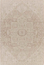 Alvord Traditional Brown Area Rug