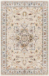 Asbury Traditional Light Orange Area Rug