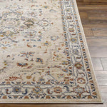 Asbury Traditional Light Orange Area Rug