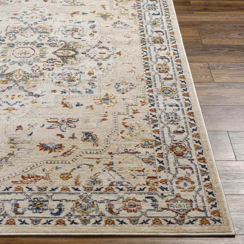 Asbury Traditional Light Orange Area Rug