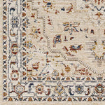 Asbury Traditional Light Orange Area Rug
