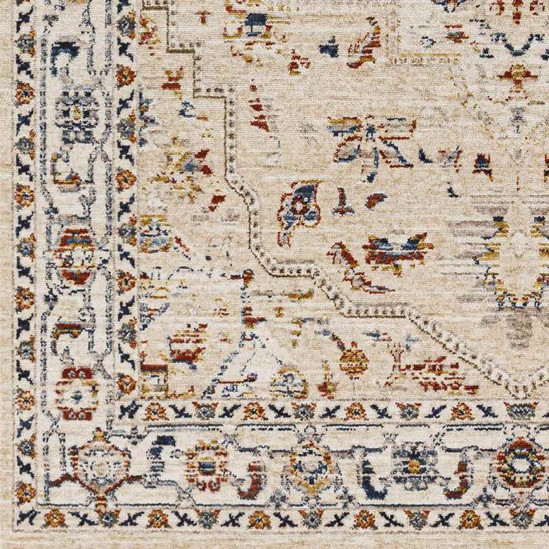 Asbury Traditional Light Orange Area Rug