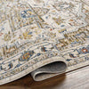 Asbury Traditional Brown Area Rug