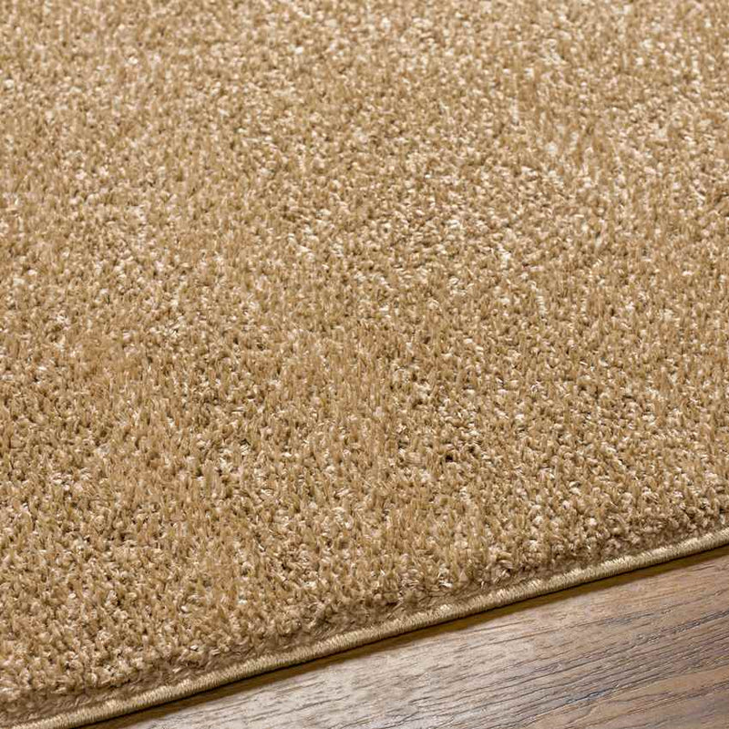 Richlawn Modern Brown Washable Area Rug