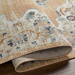 Riverwood Traditional Cider Area Rug