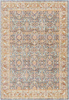 Rodman Traditional Orange Area Rug