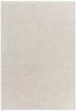 Boxholm Modern Light Gray Area Rug