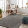 Boxholm Modern Dark Gray Area Rug