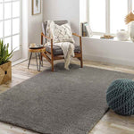 Boxholm Modern Dark Gray Area Rug