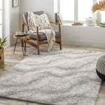 Boyden Modern Gray Area Rug