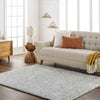Brooke Modern Light Gray Area Rug