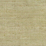 Oakfield Rustic Moss Area Rug