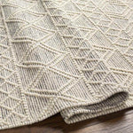Copeland Global Gray Area Rug